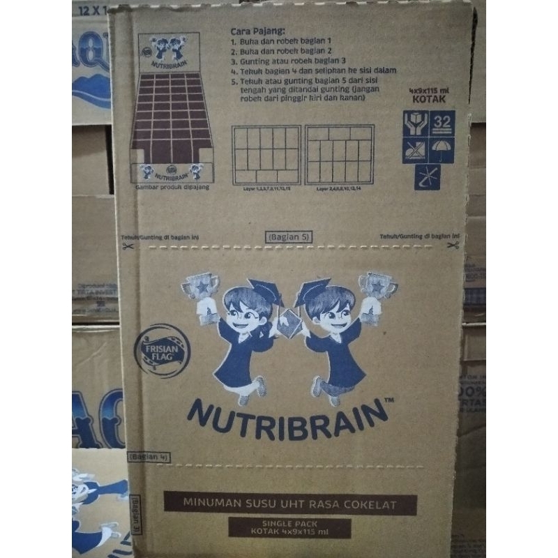 

susu frisian flag nutribrain 115ml
