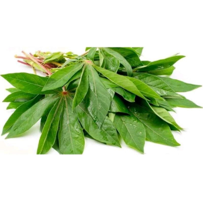 

sayur daun singkong per ikat