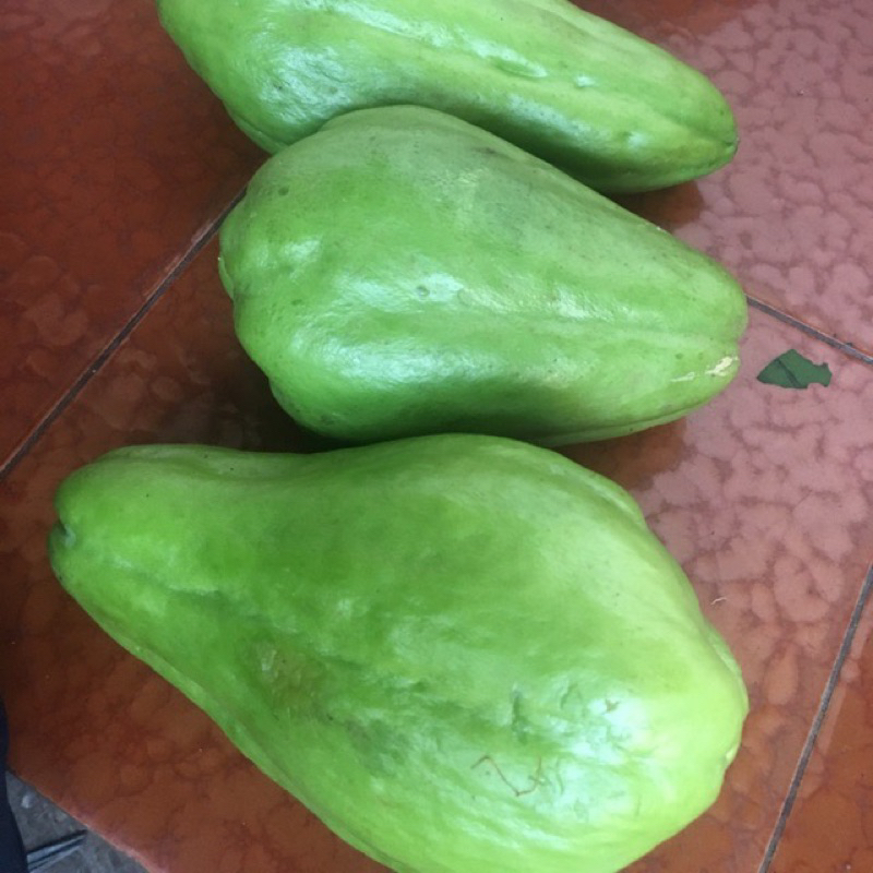 

Labu besar perpcs