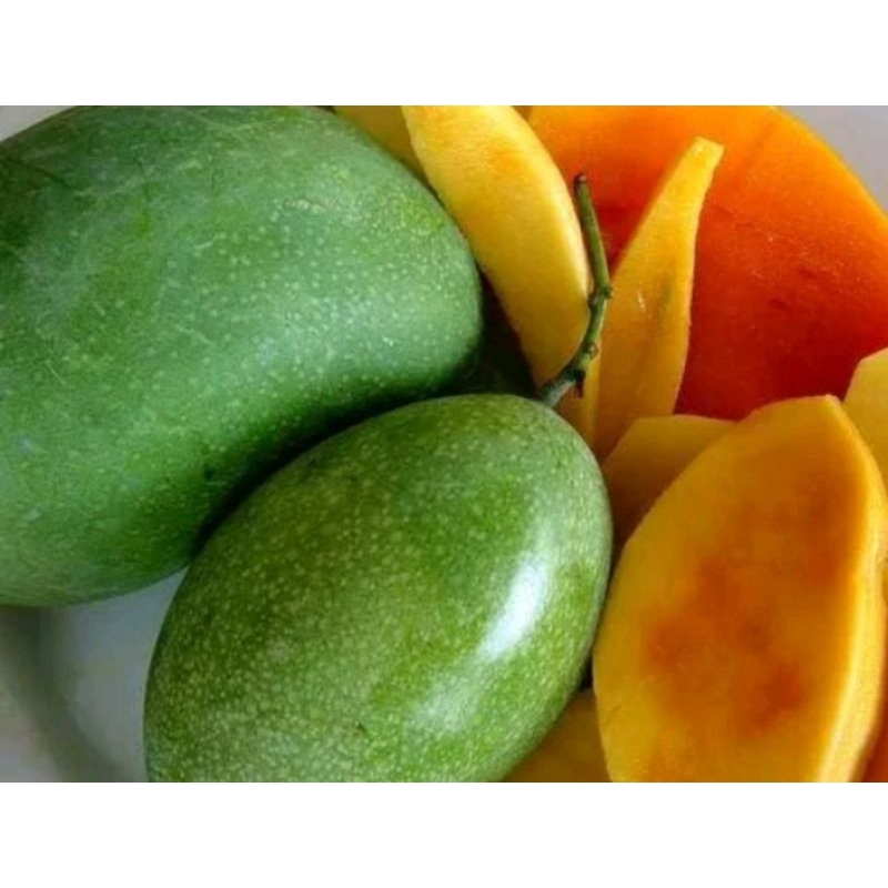 

mangga madu/manalagi manis pilihan 1kg
