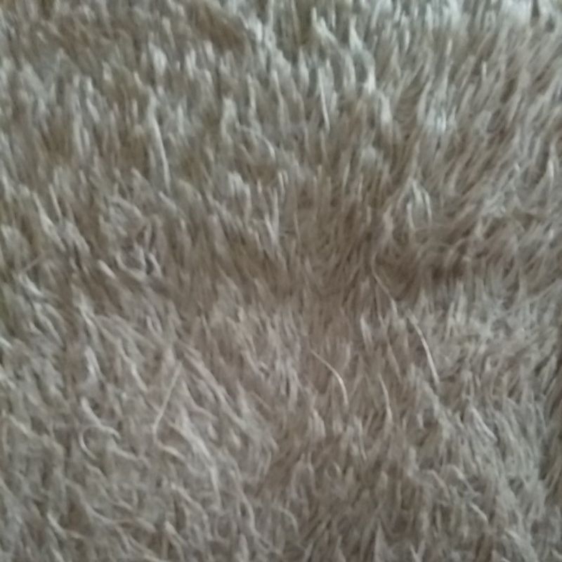 

testes