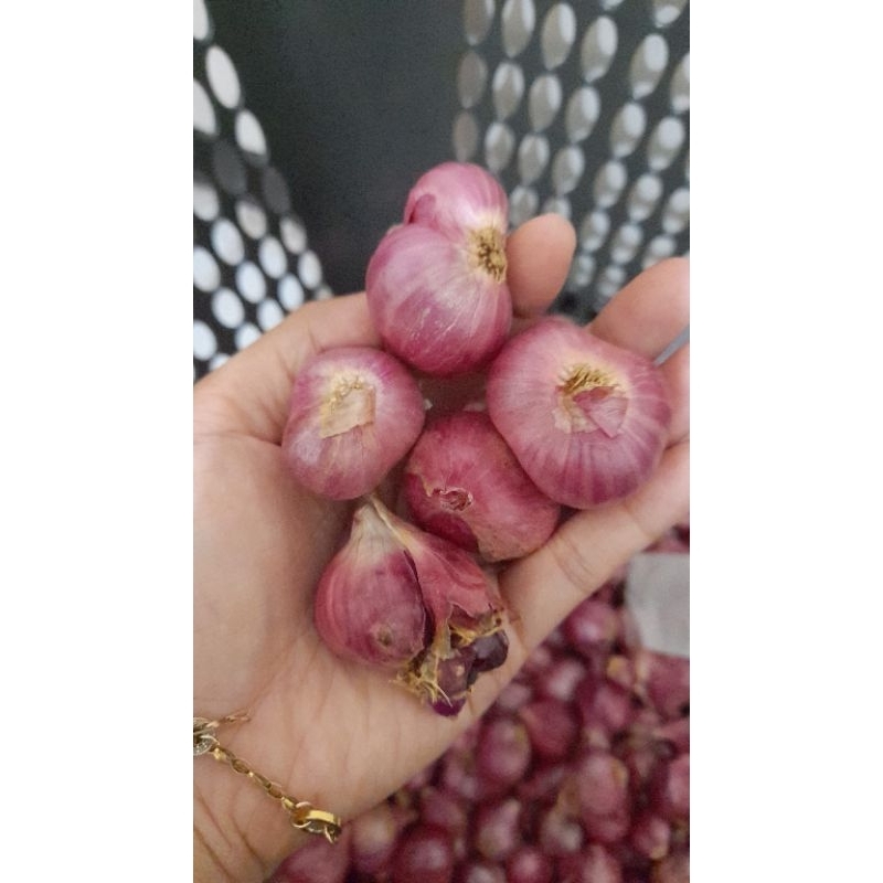 

bawang merah garing mlenos