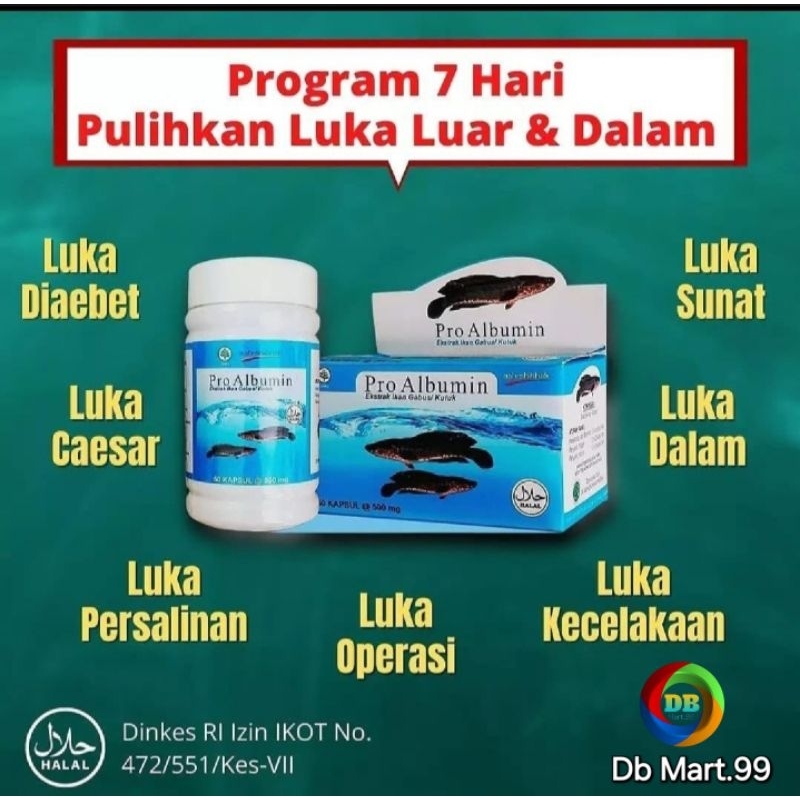 ORIGINAL.!!! Pro albumin - Ekstrak Albumin - Ikan Gabus - Pro Albumin Ash Shihhah Isi 50Kapsul