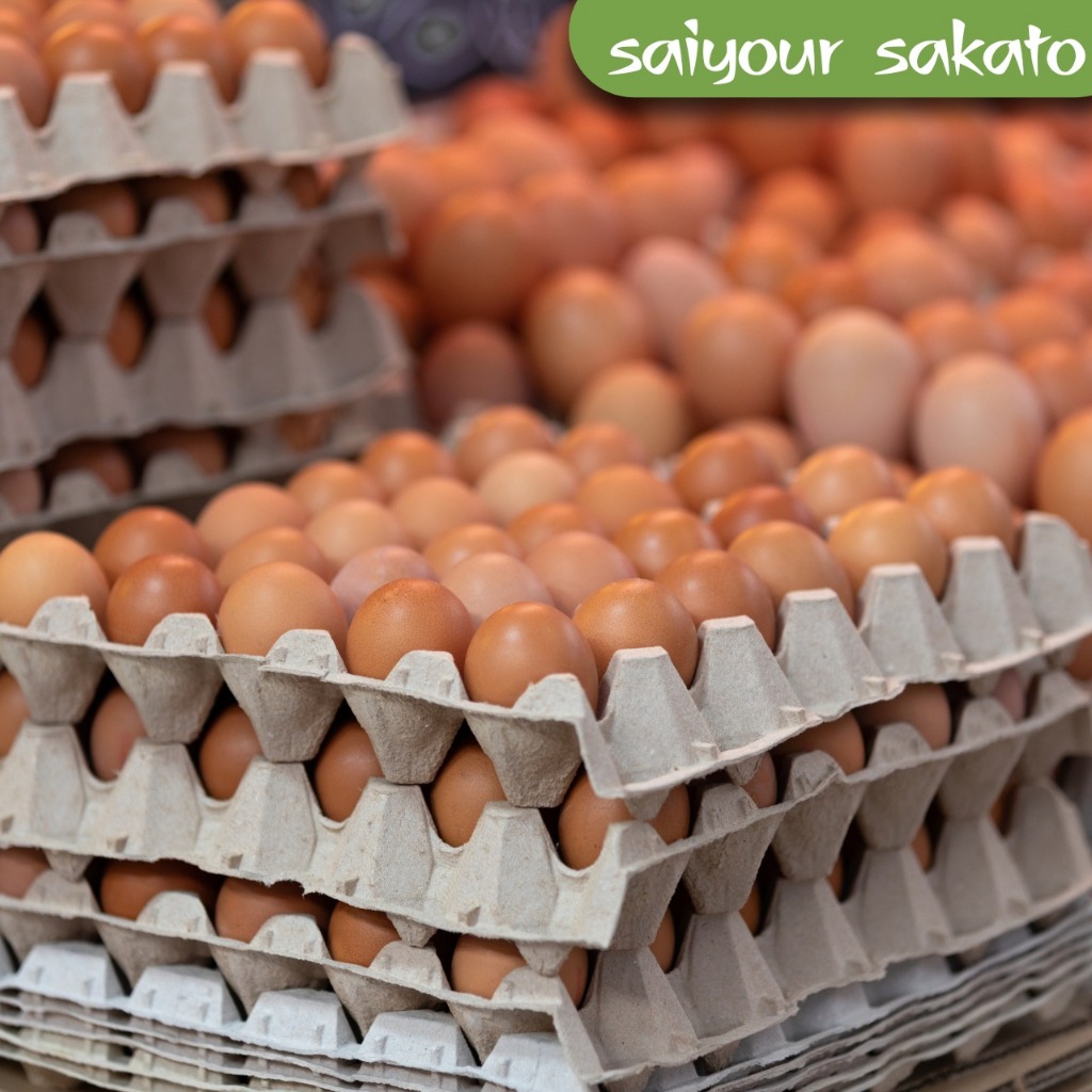 

Telur Ayam Ras / Telur Ayam Negeri - Saiyour Sakato