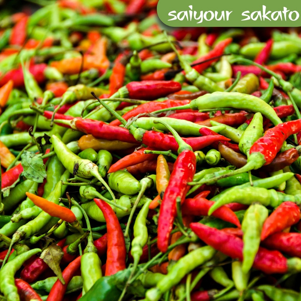 

Cabe Cabai Rawit Gunung Super Pedas 250gr - Saiyour Sakato