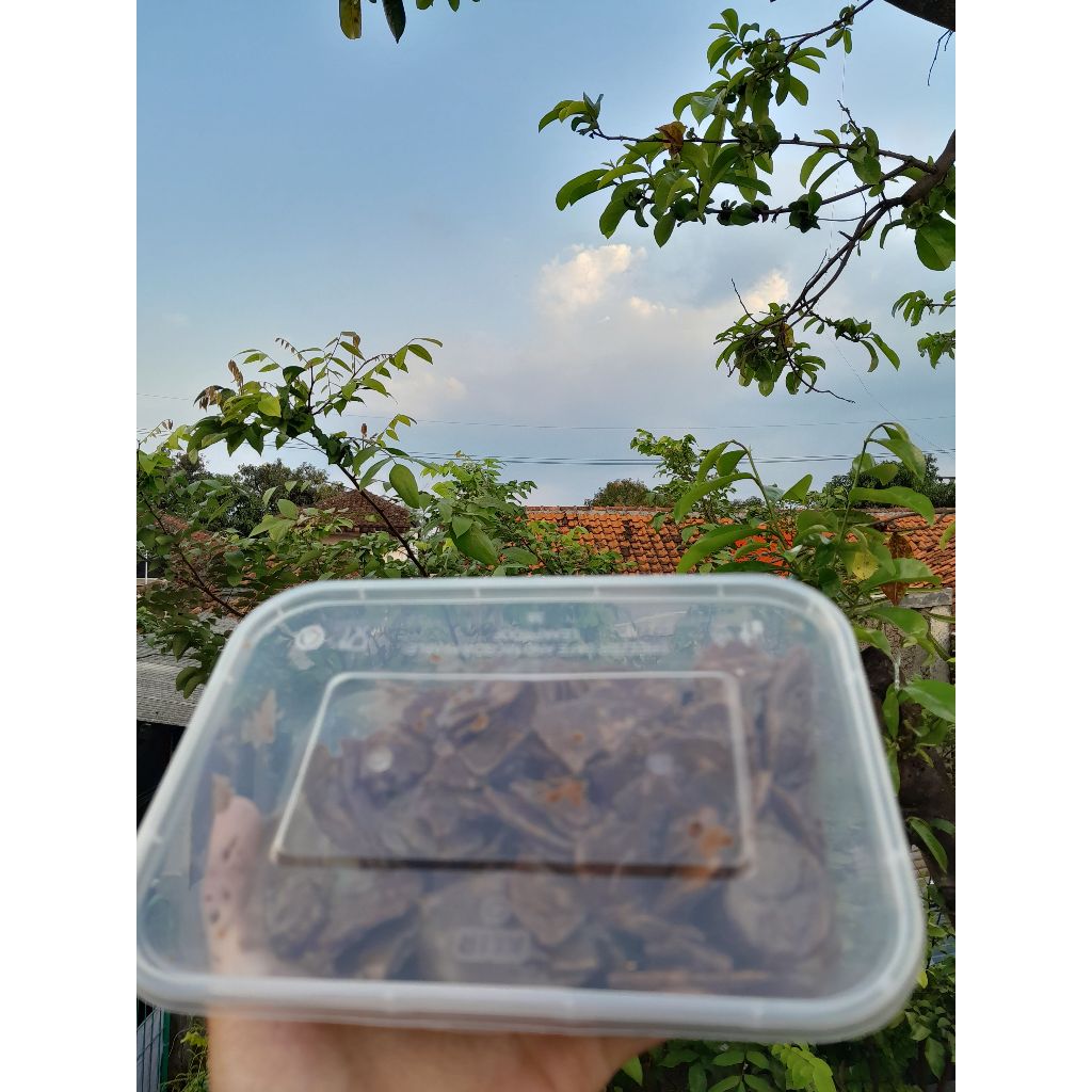 

Kripik pisang coklat lumer kualitas PREMIUM
