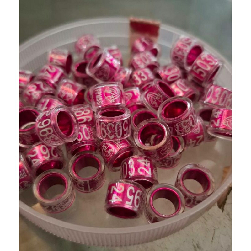 Ring tahun 2024 burung Merpati PPMBSI