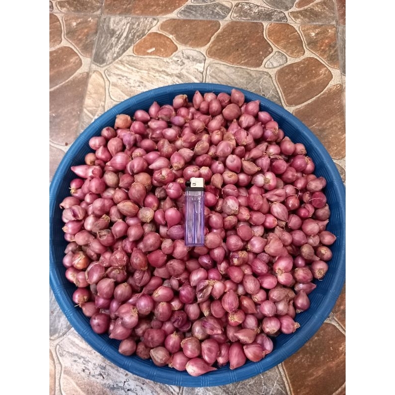 

Bawang Merah Tanggung-Kecil 500 gram