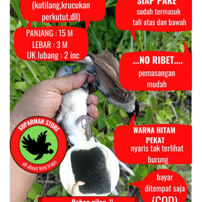 Murah JARING BURUNG PERKUTUT BAHAN NILON JARING BURUNG BAHAN PE JARING BURUNG BENANG JARING BURUNG K