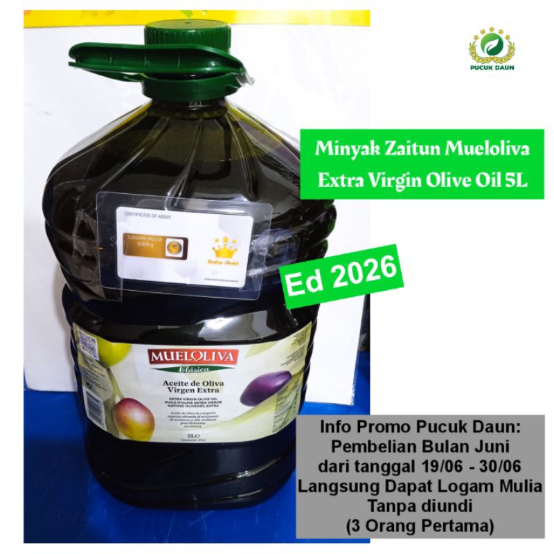 

Mueloliva Extra Virgin Olive Oil 5L