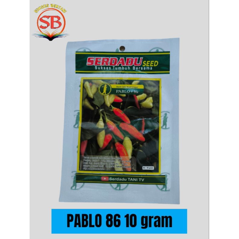 Benih cabe rawit PABLO 86 serdadu seed (10gram)