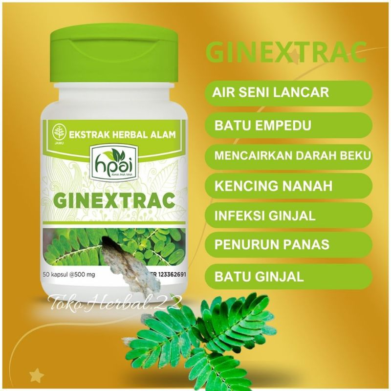 

GINEXTRAC - untuk Kesehatan Ginjal - HNI HPAI KH-azc0