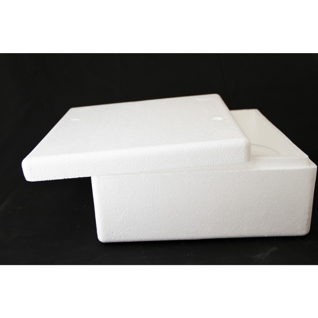 

PACKING STYROFOAM