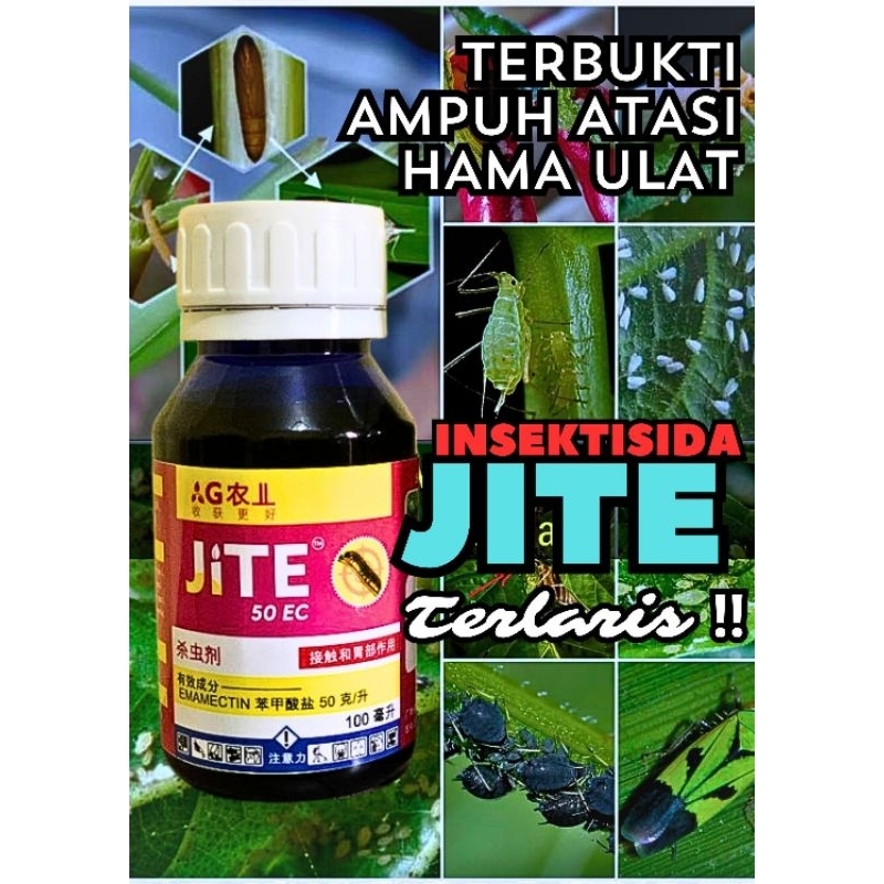 JITE INSEKTISIDA Pembasmi Hama Ulat dan Pada Semua Tanaman