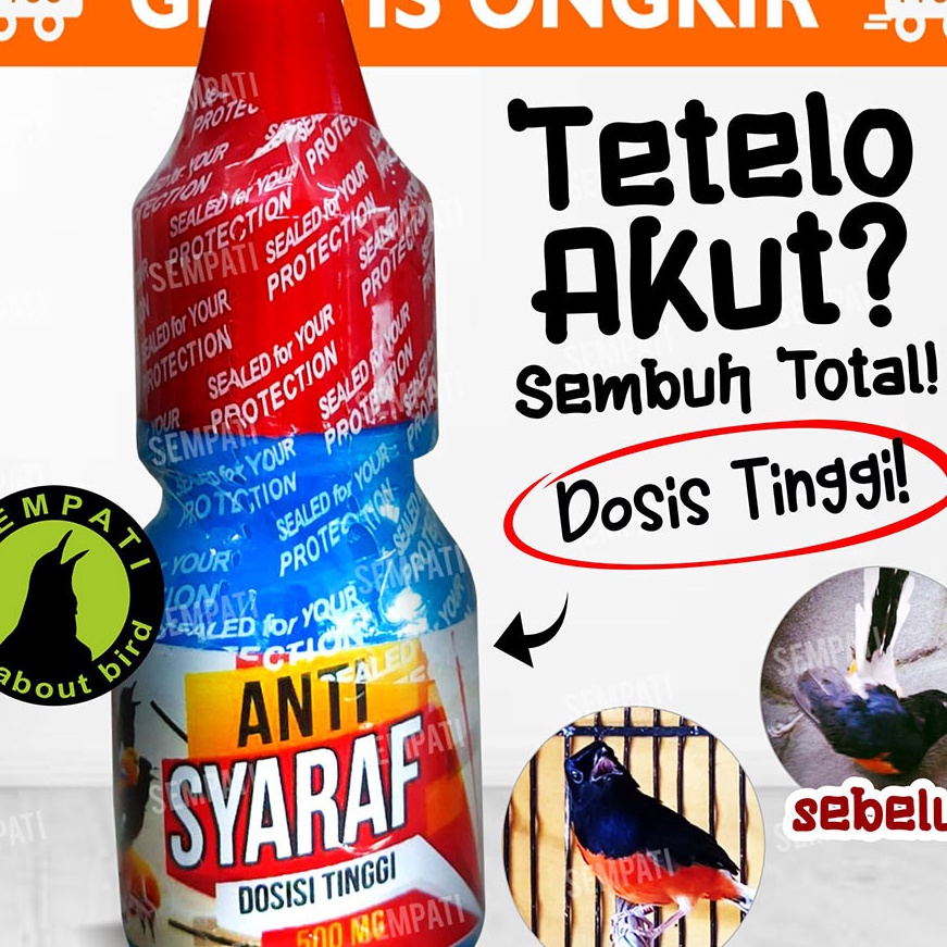 Flash Sale Anti Saraf Dosis Tinggi 5 Mg Bmw Obat Tetelo Atasi Sakit Saraf Kaki Lumpuh Burung Murai L