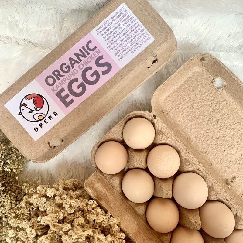 

Telur Organic OPERA | telur kampung organik | telur broiler organik | tanpa suntik hormon dan antibiotics