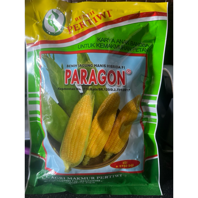 

jagung manis paragon