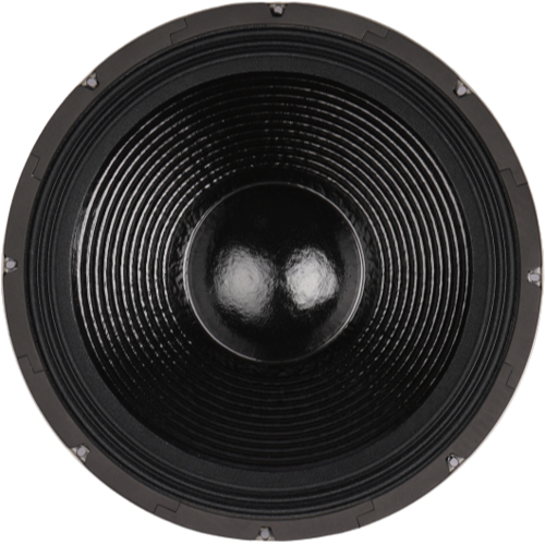 Speaker ACR, 18in 18710 DLX ACR SERIES