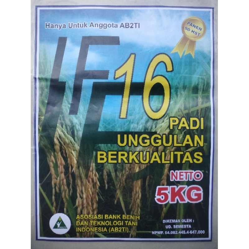Biji Padi Unggul IF16 Bibit Padi IF 16 5 KG