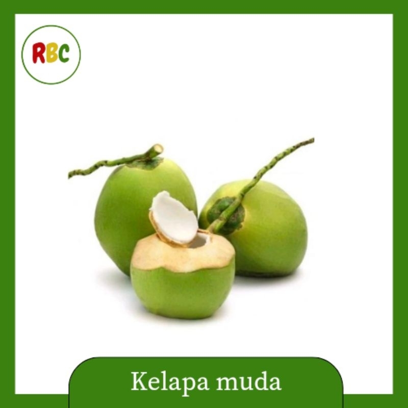 

Kelapa muda fresh 1 buah