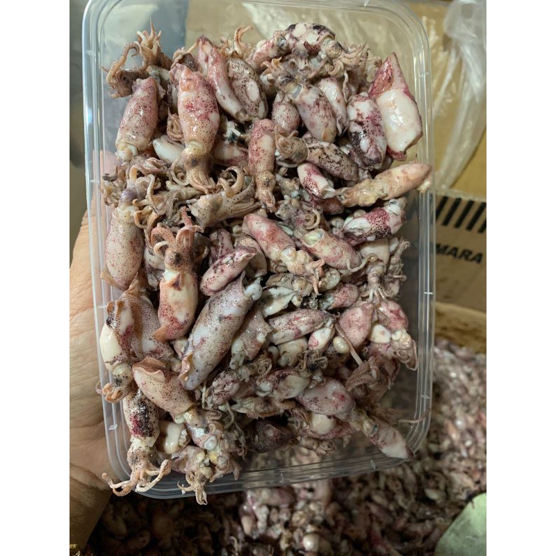 

Cumi Asin Telur 500gr
