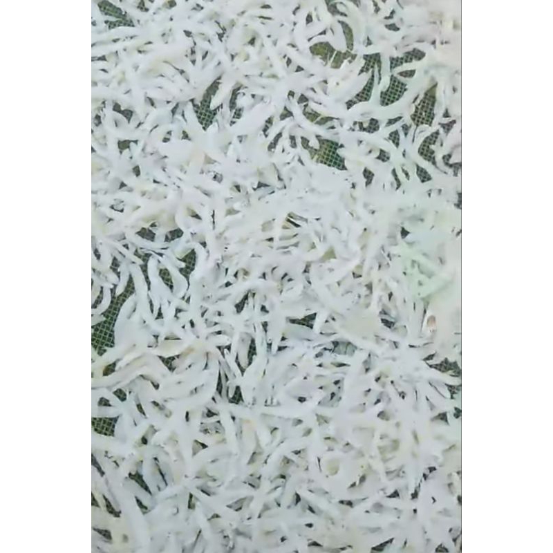 

teri medan (teri pekbut bonang)