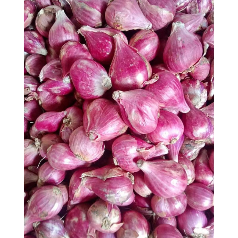 

bawang merah 1 kg|asli Nganjuk/bawang merah berkualitas
