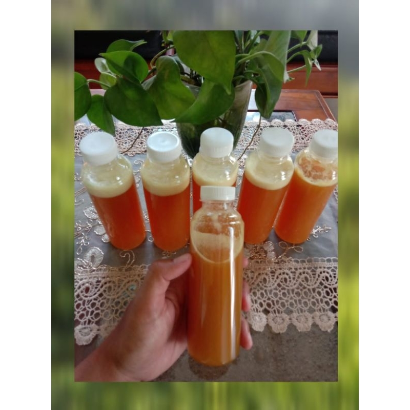 

Madu Lebah Klanceng Trigona 100% Murni 300g