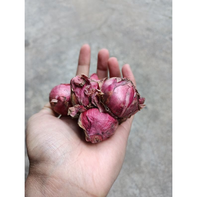 

Bawang merah 100gr