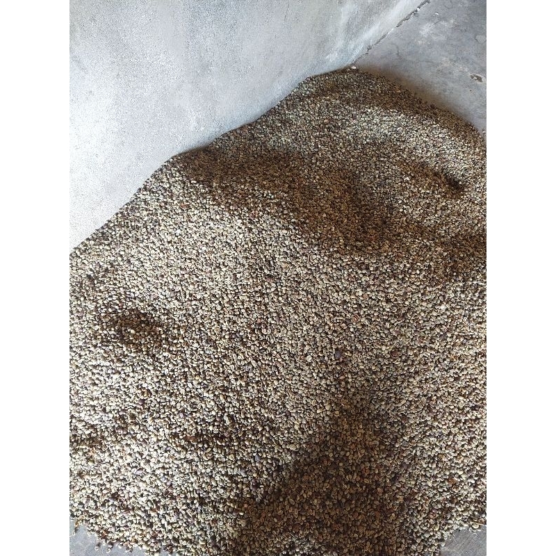 

beras kopi asli sumatera selatan original
