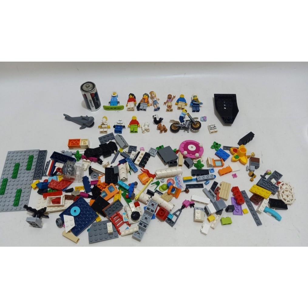 Lego city sweeper snow spectator friends lego minifigure animal