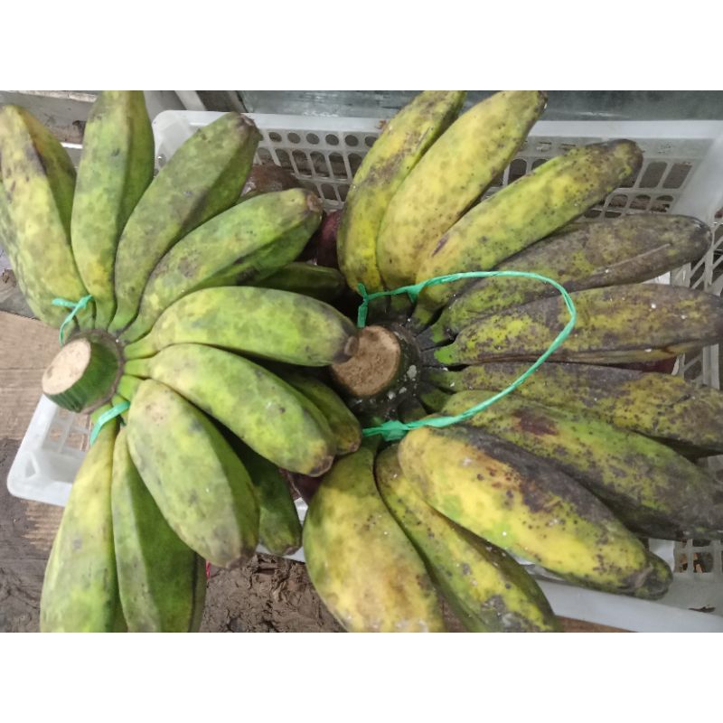 

Pisang kepok | kepok putih 1 sisir | Pisang Kepok Bandung 1,2 kg-an | vegestore