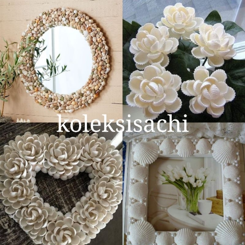 cangkang kerang untuk kerajinan 500gram