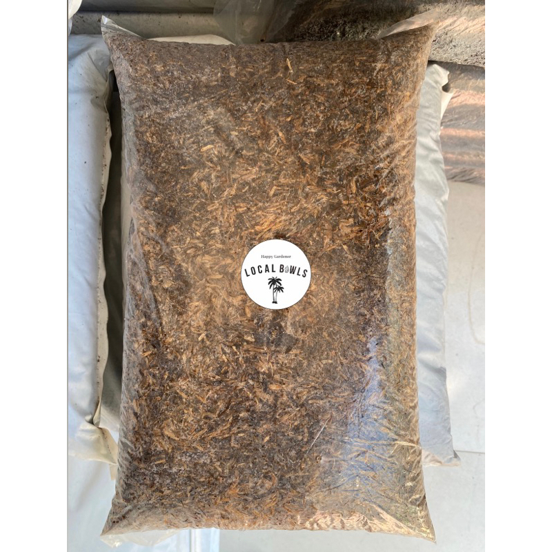 media tanam sekam mentah fermentasi sekam lapuk