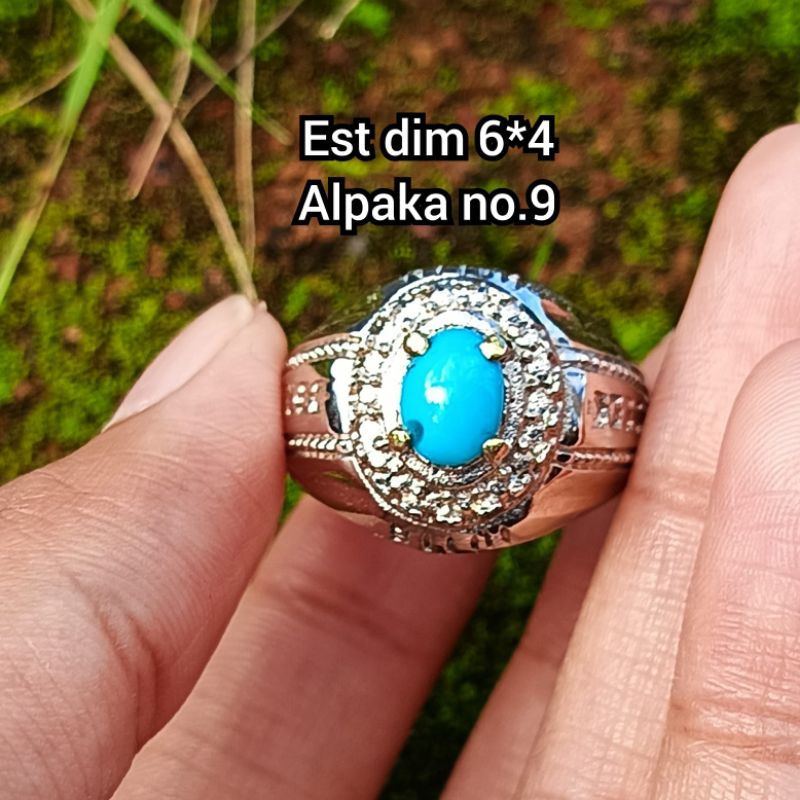 pirus Persia polosan