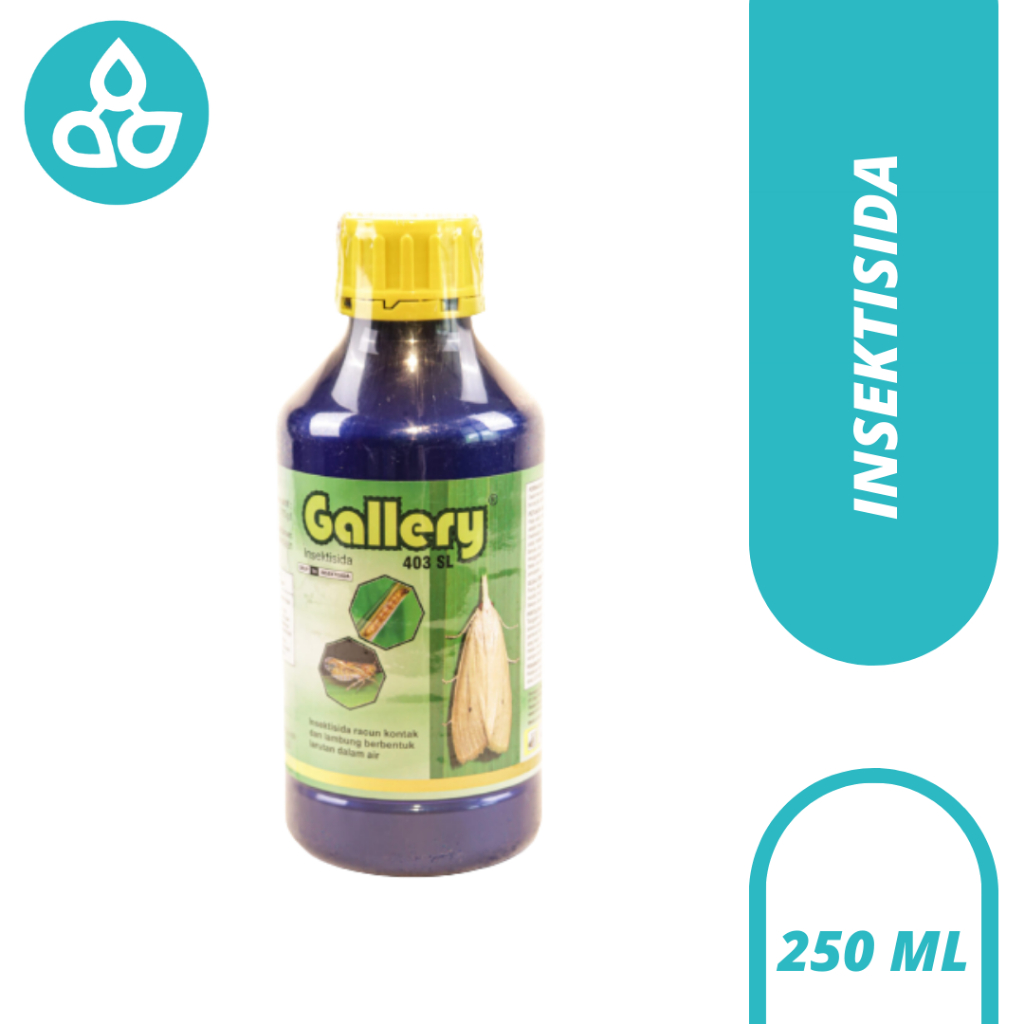 Dimehipo Basmi Wereng Gallery 403SL 500 ml