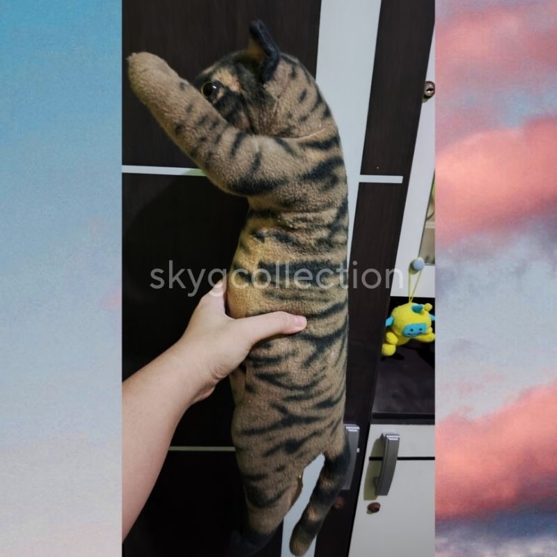 [BACA DESK] Tacchii Zoo Cat |  Boneka Kucing Tacchii