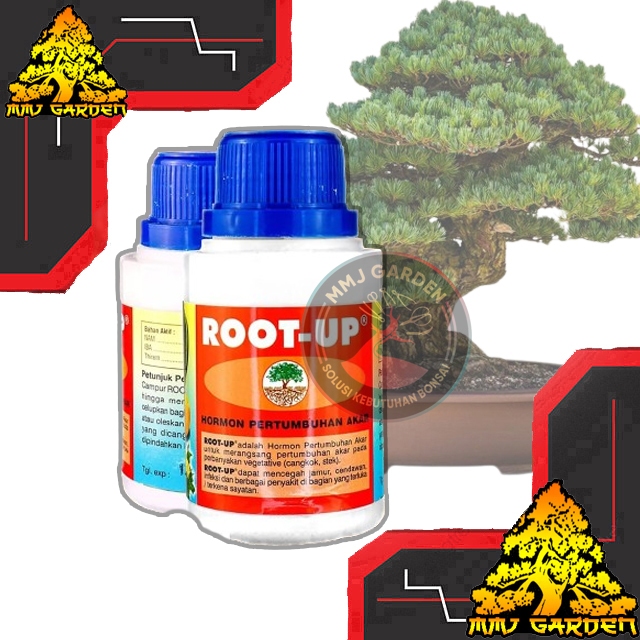 MMJ GARDEN-ROOT-UP OBAT STEK HORMON PERTUMBUHAN AKAR 100g