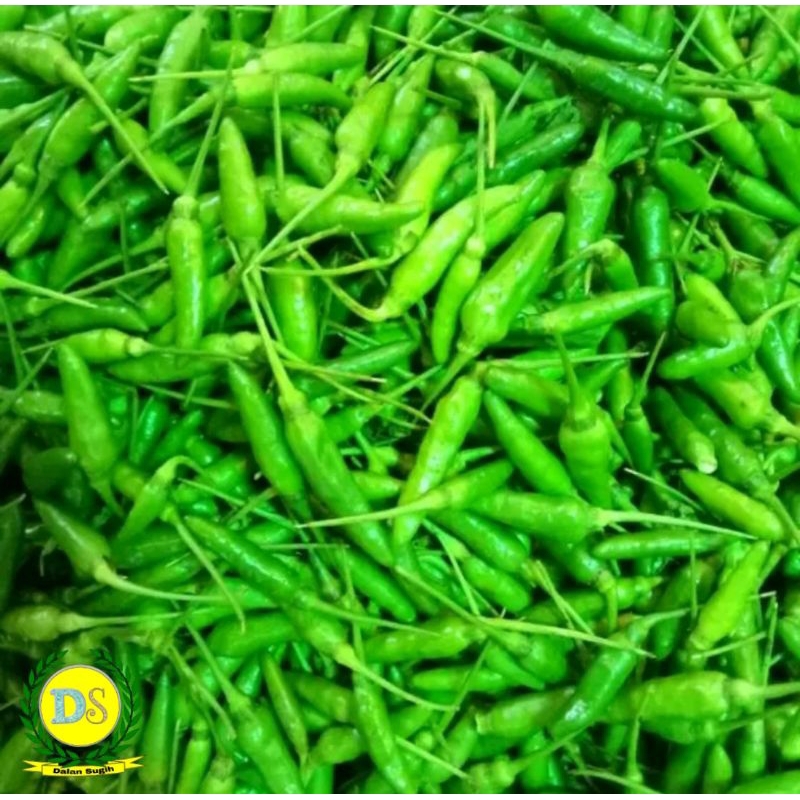 

Cabe / Cabai Rawit Hijau 500 gr