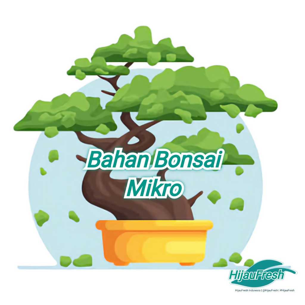 Lohansung Micro Bahan Bonsai | HijauFresh | @HijauFresh | #HijauFresh