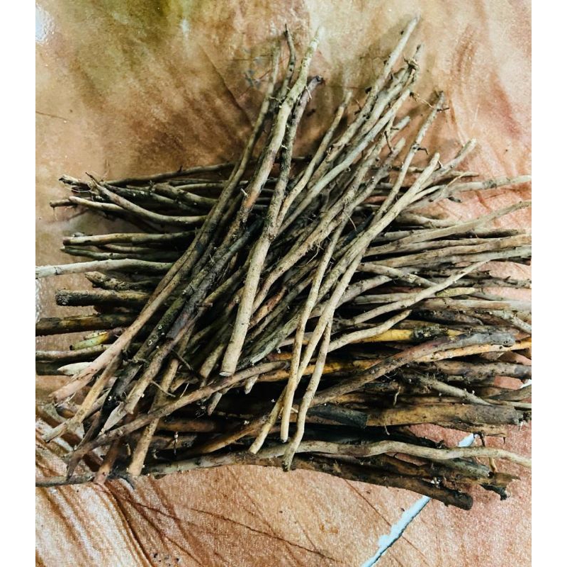 

Akar pohon Kelapa Segar 500 gram