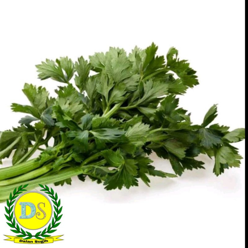 

Daun Seledri 500 gr