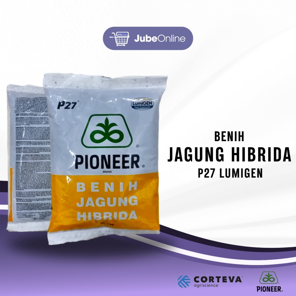 Benih Jagung Hibrida Pioneer P27 Lumigen - 1Kg