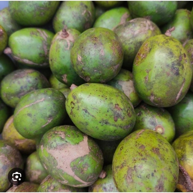 

Kedondong Rujak 1 Kg Buah Rujak Murah Asem Renyah Baru Petik Fresh