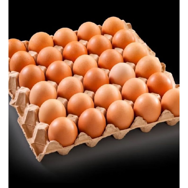 

Telur Ayam Negeri Per 1 Papan 30 Butir Segar Dari Kandang