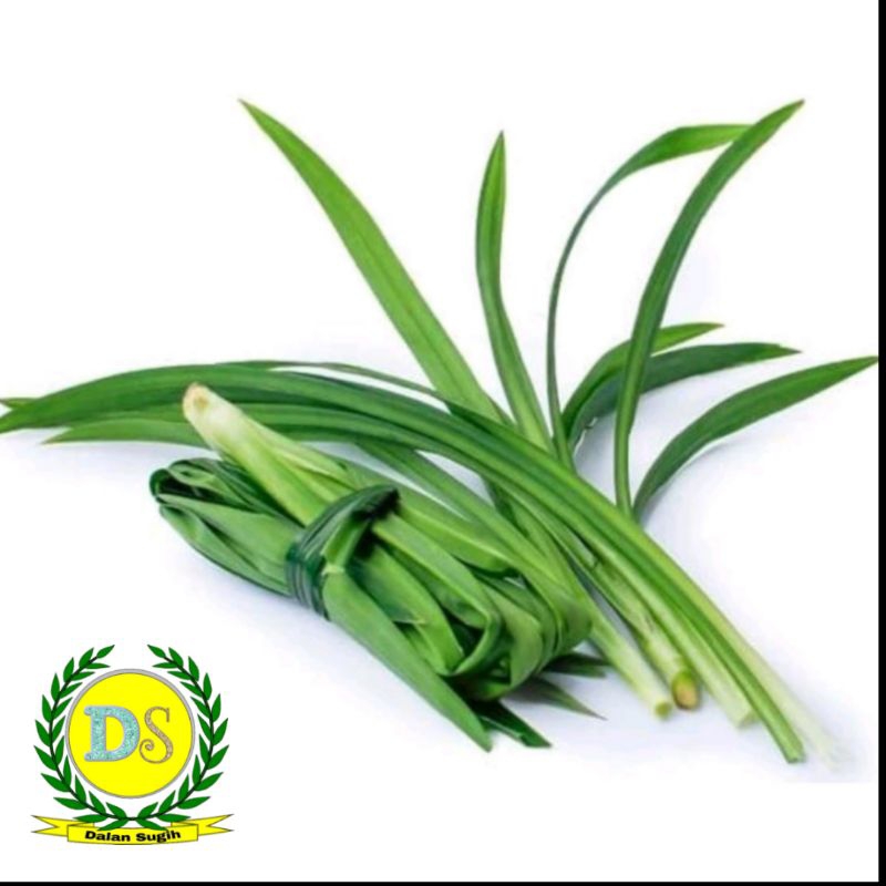 

Daun Pandan Per Pack