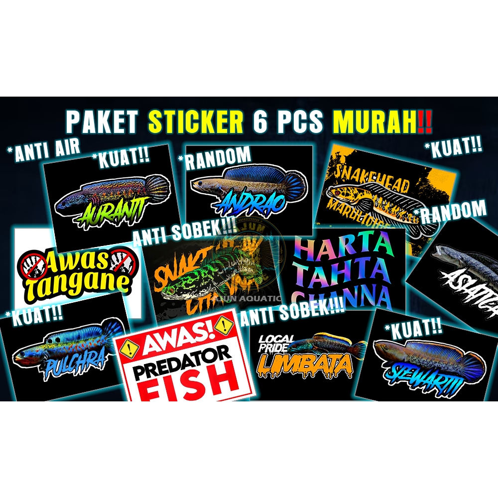 Sticker  Channa 6 PCS MURAH Ikan channa Sticker akuarium ikan channa waterproff tahan air