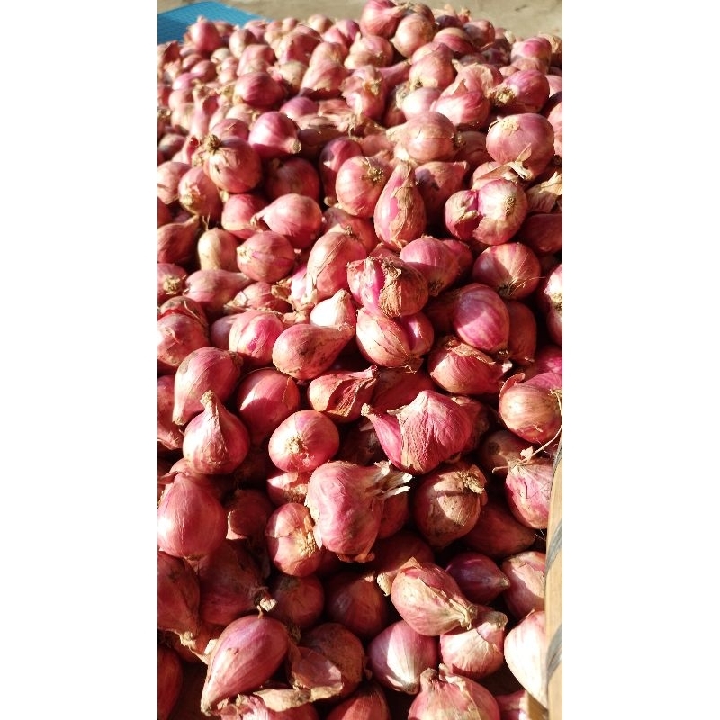 

Bawang Merah Jawa Super 1 kg