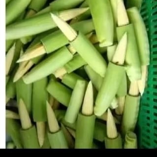

jagung putren