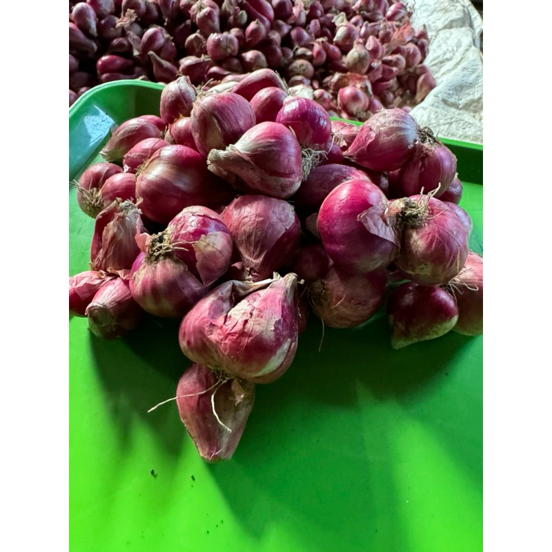 

BAWANG MERAH SUPER WONOGIRI SUDAH KERING-bawang merah kering-bawang merah-bamer
